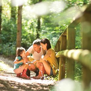 Castle Brake Holiday Park